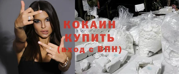 эйфоретик Пересвет