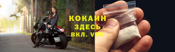 мдпв Пестово