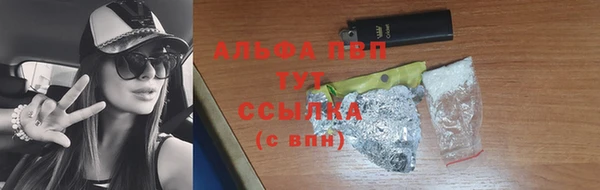 эйфоретик Пересвет
