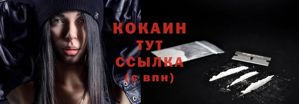 мдпв Пестово