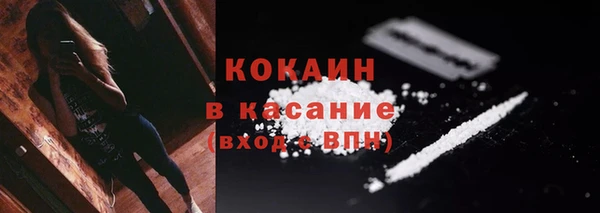 мдпв Пестово