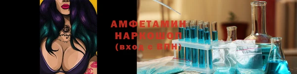 мдпв Пестово