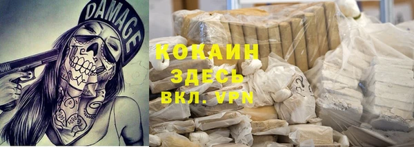эйфоретик Пересвет