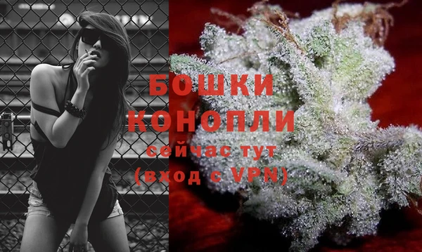 эйфоретик Пересвет