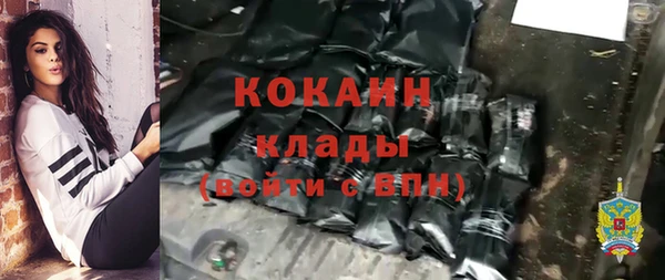 сатива Печоры