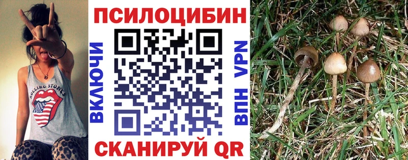 Галлюциногенные грибы Cubensis  Урюпинск 
