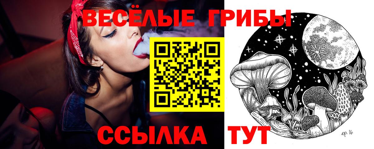 Псилоцибиновые грибы ЛСД  наркотики  Урюпинск  Вход с VPN 